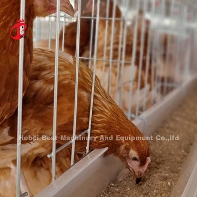 Sistem kandang unggas galvanis 3 tingkat Mia