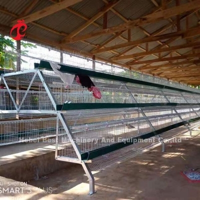Sistem Kandang Baterai Lapisan Galvanis yang Dicelup Panas Untuk Peternakan Unggas Q235 Steel Emily
