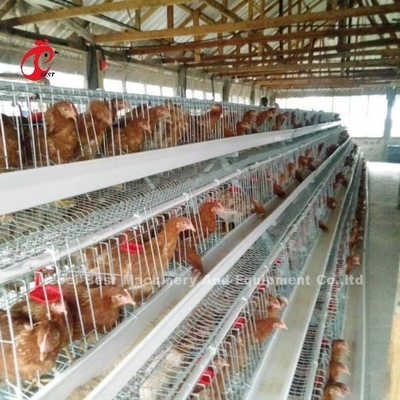 Kualitas Terbaik A Type Layer Cage Battery layer egg chicken cage 240 Birds Emily
