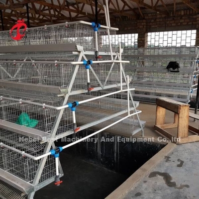 Sistem Kandang Peternakan Unggas Kandang Lapisan Telur Galvanis 40 pintu Di Afrika Adela