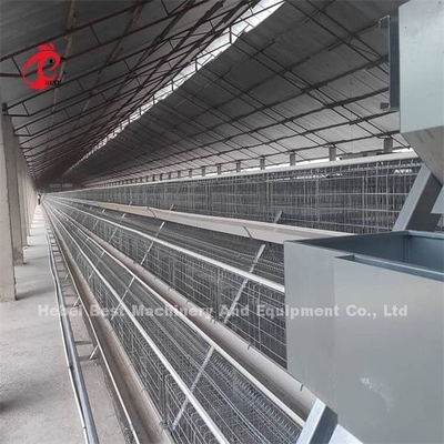 2022 Hot Sale Baterai Kandang Lapisan Unggas, dilapisi A Frame Layer Kandang 25 tahun Emily