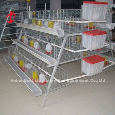 Kandang Ayam Pullet 3 Tingkat Untuk 1 Minggu Kandang Induk Ayam Kecil Doris