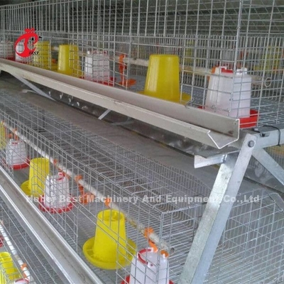 Kandang Ayam Pullet 3 Tingkat Untuk 1 Minggu Kandang Induk Ayam Kecil Doris