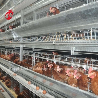 Sistem Pemberian Kandang Unggas Lapisan Semi Otomatis 1.5KW 380V Doris