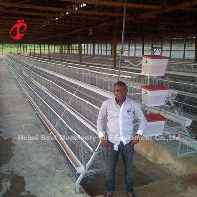 Angle Bar Frame Sistem Kandang Baterai Unggas Tipe H Kandang Ayam Lapisan Afrika Doris