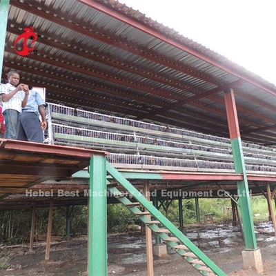 Angle Bar Frame Sistem Kandang Baterai Unggas Tipe H Kandang Ayam Lapisan Afrika Doris