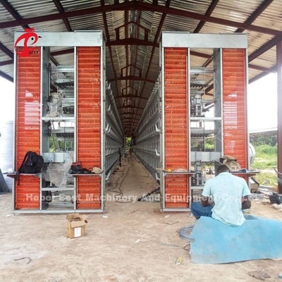 A H type Automatic Layer Unggas Peralatan Peternak Sistem Kandang Ayam Sandy