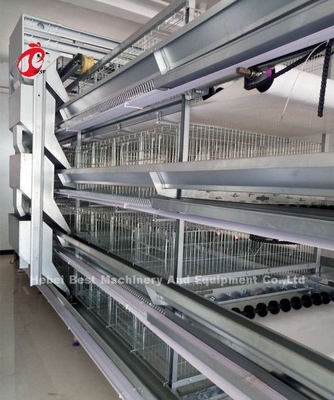 A H type Automatic Layer Unggas Peralatan Peternak Sistem Kandang Ayam Sandy