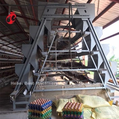 Bingkai Sistem Kandang Baterai Peternakan Unggas Hewan Struktur Stabil 2022 Jual Panas Emily