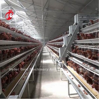 Sistem Kandang Peternakan Unggas Ayam Petelur Otomatis Tipe H Di Pasar Afrika Iris