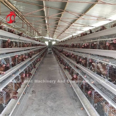 A Type Manual Egg Laying Hens Kandang Ayam Emily