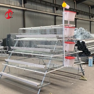 Harga Kandang Baterai Peternakan Unggas Di Nigeria 4 Tier Layer Cage Iris