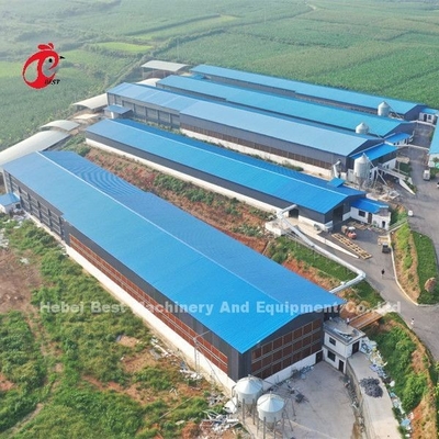 Sistem Kandang Baterai Unggas Premium Dan Deluxe Gudang Nigeria Untuk Ayam Petelur Berpasir