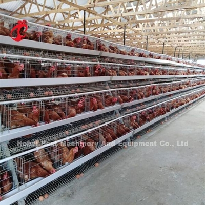 Ketangguhan Desain Rumah Peletakan Sistem Kandang Baterai Ayam Dengan Cage Mesh Iris