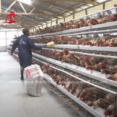 Cina Mengimpor Kandang Baterai Ayam Dilapisi ISO9001, Sistem Kandang Ayam Lapisan 4 Pintu Berpasir