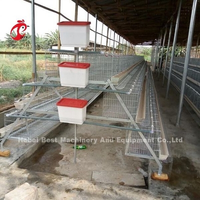 Cina Mengimpor Kandang Baterai Ayam Dilapisi ISO9001, Sistem Kandang Ayam Lapisan 4 Pintu Berpasir