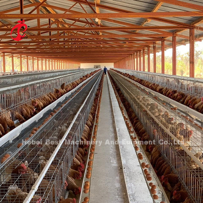 Sistem sangkar ayam baterai otomatis 120-kaus dengan permukaan galvanis