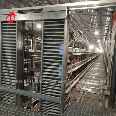 Hot Deep Galvanized Ayam Lapisan Kandang Untuk 20.000 Burung Ayam Peternakan Ayam Sandy