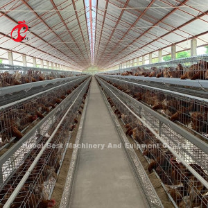 Kandang Ayam Peternakan Unggas Lapisan Terbaik Untuk Ayam Petelur 4 Tingkat Mia