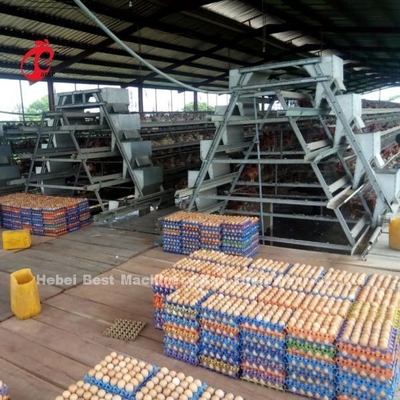 Kandang Ayam Lapisan Otomatis Penuh Sistem Kandang Baterai Ayam Komersial CE Adela