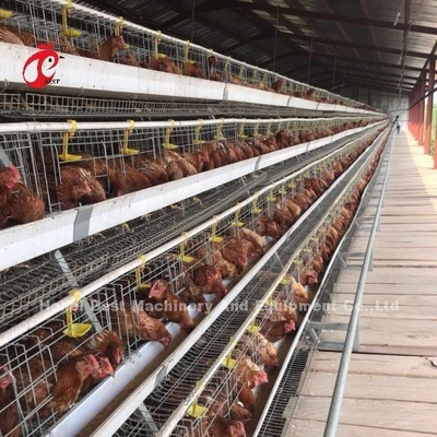 Kandang Ayam Lapisan Otomatis Penuh Sistem Kandang Baterai Ayam Komersial CE Adela