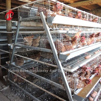 Harga Pabrik Grosir Q235 Kandang Lapisan Unggas, Sistem Kandang Baterai 256 Bintang Burung