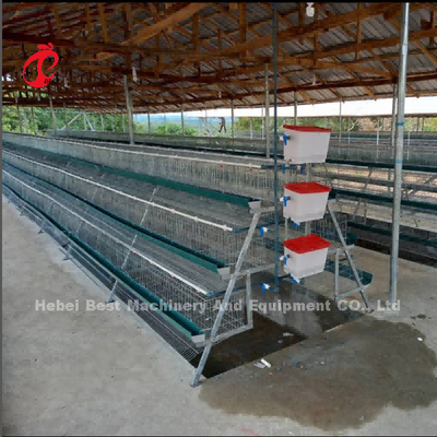 Sistem Kandang Baterai Lapisan Ayam Komersial 2.0m * 2.0m * 1.45m Di Bintang Nigeria