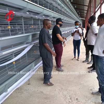 Kandang Baterai Ayam Komersial Dewasa Tipe H Untuk Ayam Petelur Bintang