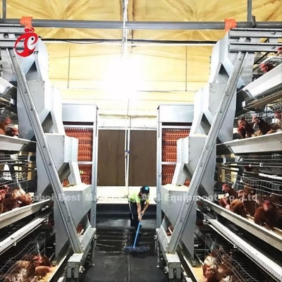 Kandang Baterai Ayam Tipe Lapisan Penuh Otomatis Untuk Peternakan Besar Adela
