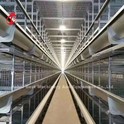 Kandang Baterai Ayam Tipe Lapisan Penuh Otomatis Untuk Peternakan Besar Adela