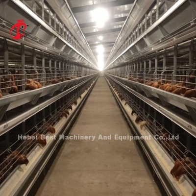 Kandang Baterai Ayam Tipe Lapisan Penuh Otomatis Untuk Peternakan Besar Adela