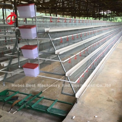 Diskon Kandang Baterai Unggas Tipe A Untuk Penjualan Lapisan 160 burung Di Zambia Adela