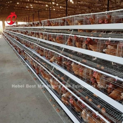 Sistem Kandang Baterai Lapisan Kapasitas 160 Tipe, Kandang Ayam Bertelur Berpasir