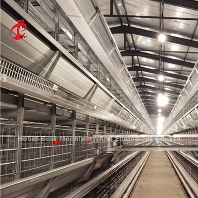 Sistem Kandang Peternakan Unggas Baterai Ayam AH Tipe 3 tingkatan Untuk Layer Rose