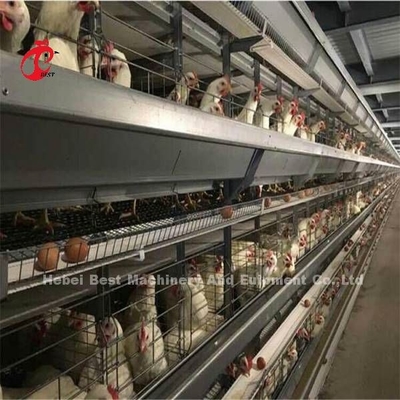 Kandang Unggas Kawat Besi Banyak Digunakan Untuk Ayam Komersial Mia