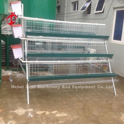 Kandang Peternakan Unggas Lapisan Galvanis Listrik Kandang Baterai Lapisan Anti Karat Emily