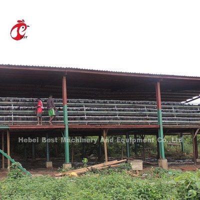 Kandang Baterai Ayam 110kg dengan 450cm2 Area / burung Adela
