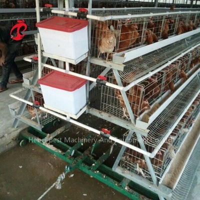 Sistem Kandang Kotoran Unggas Scraper Pembersih Kotoran 3 jenis Iris