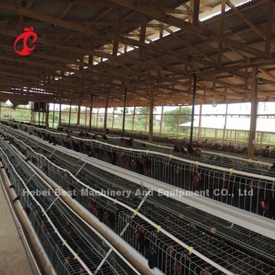 A Tipe 3 Tiers Layer Kandang Baterai Ayam 120 Burung 450cm2 Bintang