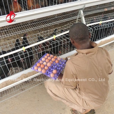A Tipe 3 Tiers Layer Kandang Baterai Ayam 120 Burung 450cm2 Bintang