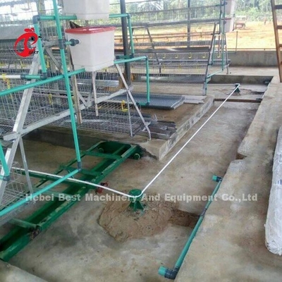 Scraper Sistem Pengolahan Kotoran 380V 8kw Daur Ulang Untuk Peternakan Unggas Iris