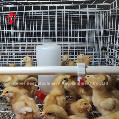Peralatan peternakan unggas H-Type Battery Chicken Cage System Untuk Broiler Mia