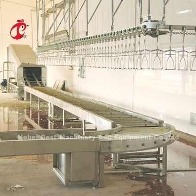 Sistem Pemrosesan Ayam ayam pedaging 220V 4kw, Peralatan Pembantaian Ayam Ss 304 Doris