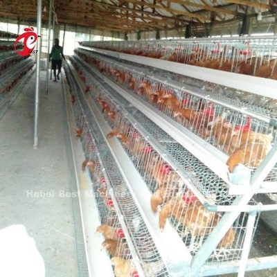 Sistem kandang peternakan unggas otomatis dengan permukaan galvanis elektro / panas