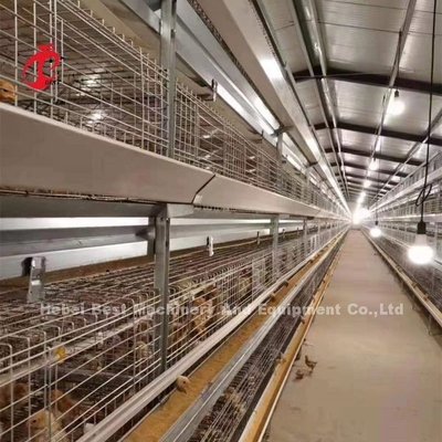 Kandang Ayam ayam pedaging Tipe H CE, Peralatan Kandang Ayam ayam pedaging Otomatis Penuh Adela