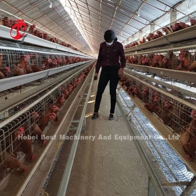 Kandang Ayam Lapisan Disesuaikan, Q235 Kandang Baterai Unggas Baja Karbon Rendah Doris