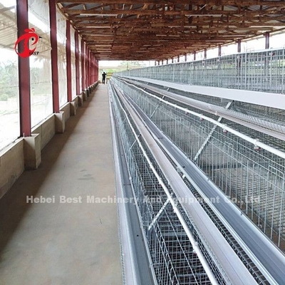 Sistem Kandang Peternakan Unggas 4 tingkat, Mudah Instal Kandang Ayam Galvanis Doris