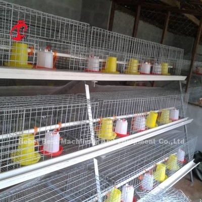 Kandang Pembibitan Jenis Baterai ISO, kandang ayam 3 tingkat Untuk Peternakan Unggas Iris