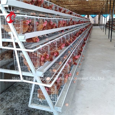 Sistem Kandang Peternakan Unggas Hemat Area, Kandang Ayam Komersial 3 Tingkat Ada