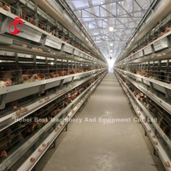 Sistem Kandang Baterai A H Tipe Full Otomatis A ayam Dengan Umur 25 Tahun Bintang